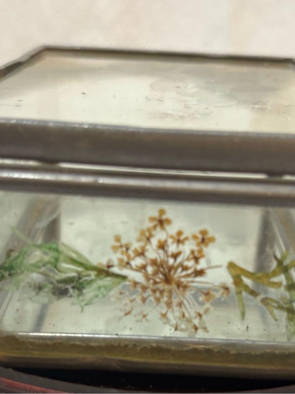 Vintage Leaded Glass Trinket Box with Dried Flowers